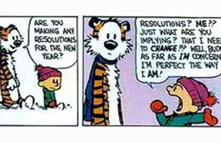 calvin and hobbes resolution