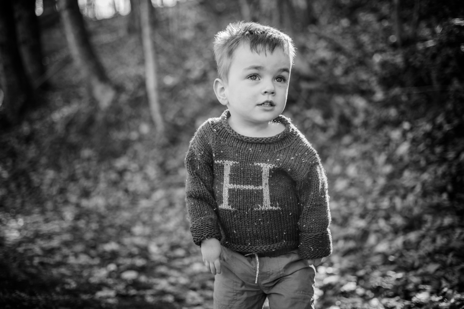 Happy Birthday, Harrison! (Please Slow Down, We Can’t Keep Up!)